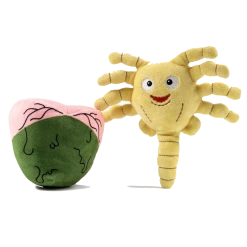 (ONLINE) DRAGON IMPORTS & COLLECTIBLES LLC Facehugger With Egg Phunny ALIEN COVENANT 8" PLUSH BY KIDROBOT